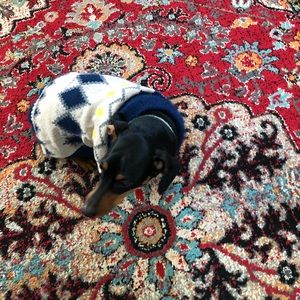 Meet your Posher, Barbara